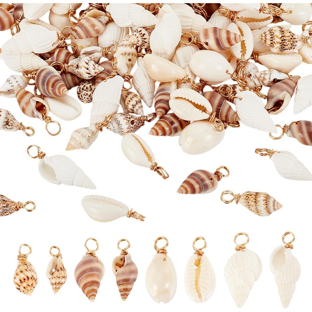 Jewelry Making Course - 100pcs 4 รูปแบบเปลือกหอยธรรมชาติ Charms จี้เปลือกหอย Link